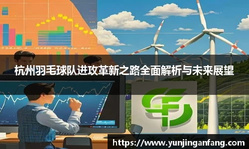 杭州羽毛球队进攻革新之路全面解析与未来展望
