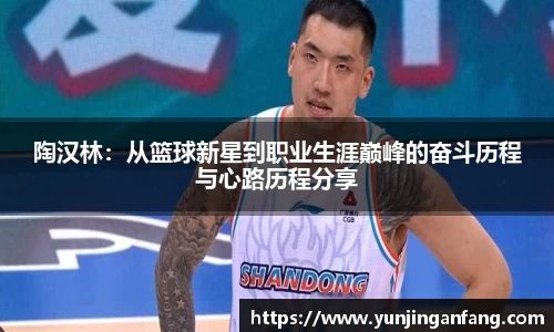 陶汉林：从篮球新星到职业生涯巅峰的奋斗历程与心路历程分享